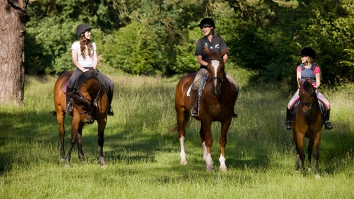 Horse riding in the area around Eight Wantz Ways in Hatfield Forest, Essex